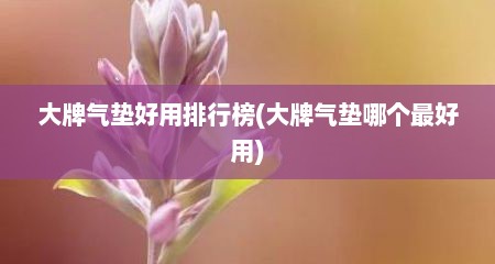 大牌气垫好用排行榜(大牌气垫哪个最好用)