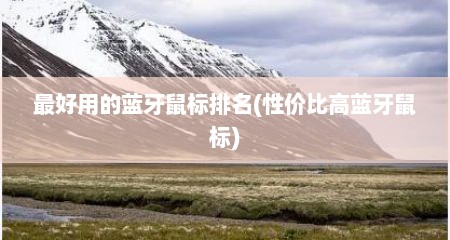 最好用的蓝牙鼠标排名(性价比高蓝牙鼠标)