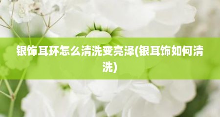 银饰耳环怎么清洗变亮泽(银耳饰如何清洗)