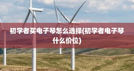 初学者买电子琴怎么选择(初学者电子琴什么价位)