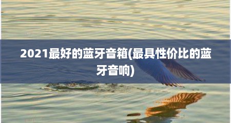 2021最好的蓝牙音箱(最具性价比的蓝牙音响)