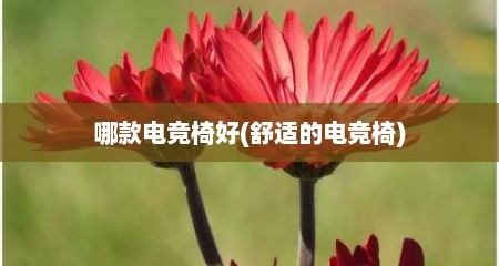 哪款电竞椅好(舒适的电竞椅)