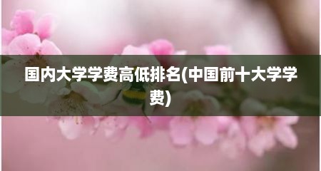 国内大学学费高低排名(中国前十大学学费)