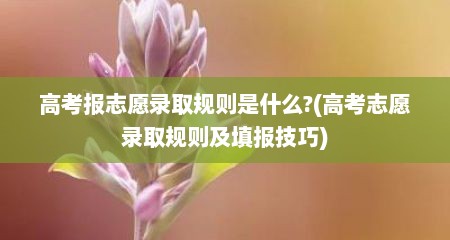 高考报志愿录取规则是什么?(高考志愿录取规则及填报技巧)