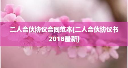 二人合伙协议合同范本(二人合伙协议书2018最新)