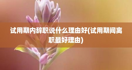 试用期内辞职说什么理由好(试用期间离职最好理由)