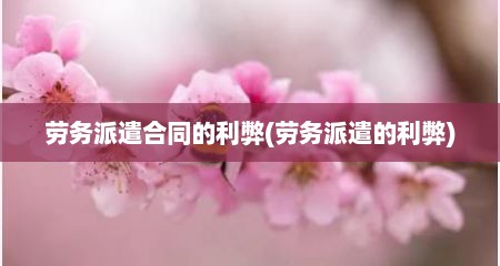 劳务派遣合同的利弊(劳务派遣的利弊)