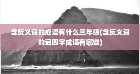 含反义词的成语有什么三年级(含反义词的词四字成语有哪些)