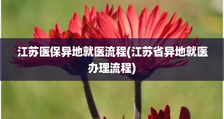 江苏医保异地就医流程(江苏省异地就医办理流程)