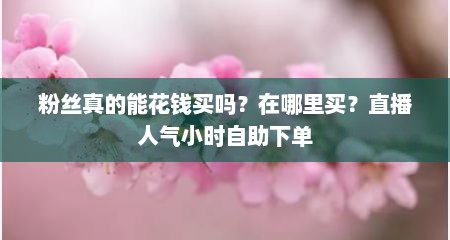 粉丝真的能花钱买吗？在哪里买？直播人气小时自助下单