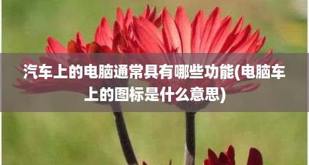 汽车上的电脑通常具有哪些功能(电脑车上的图标是什么意思)