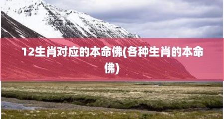 12生肖对应的本命佛(各种生肖的本命佛)