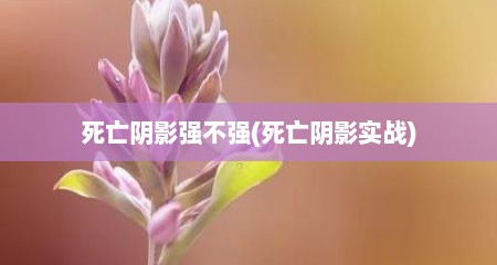 死亡阴影强不强(死亡阴影实战)