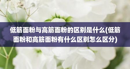 低筋面粉与高筋面粉的区别是什么(低筋面粉和高筋面粉有什么区别怎么区分)