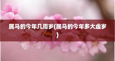 属马的今年几周岁(属马的今年多大虚岁)