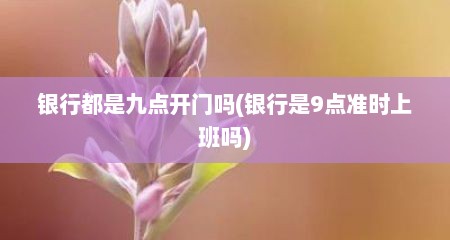 银行都是九点开门吗(银行是9点准时上班吗)