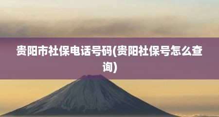 贵阳市社保电话号码(贵阳社保号怎么查询)