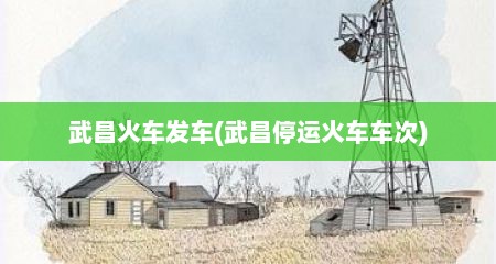 武昌火车发车(武昌停运火车车次)