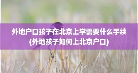 外地户口孩子在北京上学需要什么手续(外地孩子如何上北京户口)