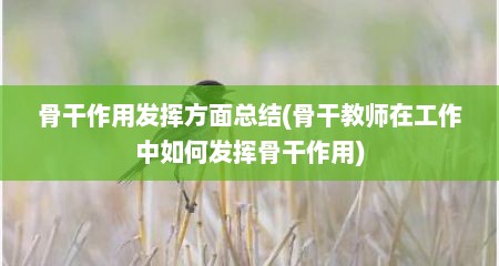 骨干作用发挥方面总结(骨干教师在工作中如何发挥骨干作用)