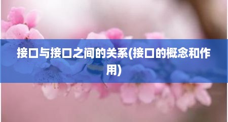 接口与接口之间的关系(接口的概念和作用)