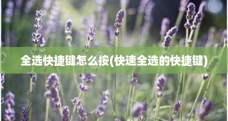 全选快捷键怎么按(快速全选的快捷键)