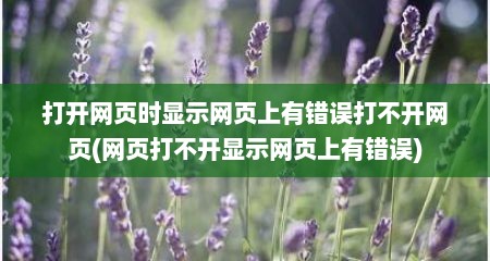 打开网页时显示网页上有错误打不开网页(网页打不开显示网页上有错误)