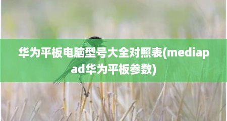 华为平板电脑型号大全对照表(mediapad华为平板参数)