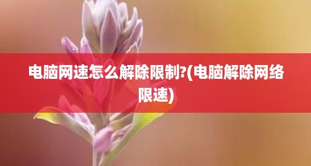 电脑网速怎么解除限制?(电脑解除网络限速)