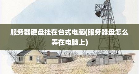 服务器硬盘挂在台式电脑(服务器盘怎么弄在电脑上)