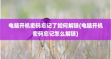 电脑开机密码忘记了如何解锁(电脑开机密码忘记怎么解锁)