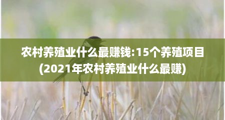 农村养殖业什么最赚钱:15个养殖项目(2021年农村养殖业什么最赚)