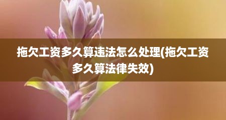 拖欠工资多久算违法怎么处理(拖欠工资多久算法律失效)