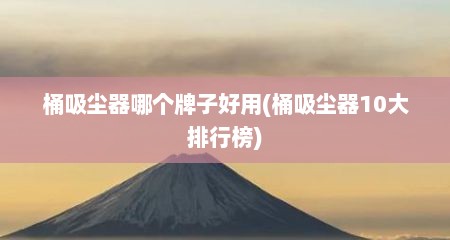 桶吸尘器哪个牌子好用(桶吸尘器10大排行榜)