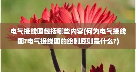 电气接线图包括哪些内容(何为电气接线图?电气接线图的绘制原则是什么?)