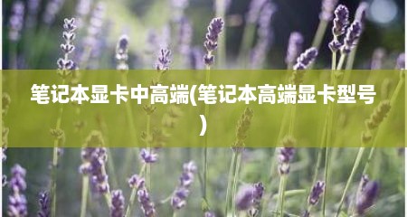 笔记本显卡中高端(笔记本高端显卡型号)