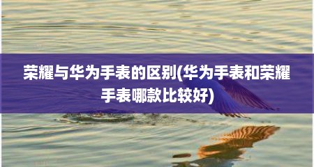 荣耀与华为手表的区别(华为手表和荣耀手表哪款比较好)
