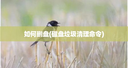 如何删盘(磁盘垃圾清理命令)