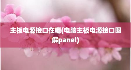 主板电源接口在哪(电脑主板电源接口图解panel)