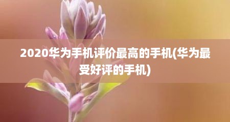 2020华为手机评价最高的手机(华为最受好评的手机)