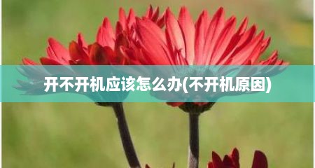 开不开机应该怎么办(不开机原因)