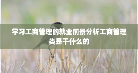 学习工商管理的就业前景分析工商管理类是干什么的