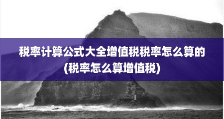 税率计算公式大全增值税税率怎么算的(税率怎么算增值税)