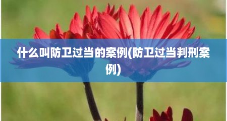 什么叫防卫过当的案例(防卫过当判刑案例)