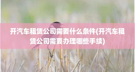 开汽车租赁公司需要什么条件(开汽车租赁公司需要办理哪些手续)