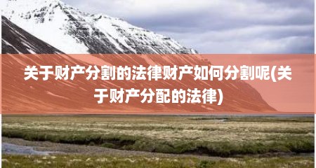 关于财产分割的法律财产如何分割呢(关于财产分配的法律)