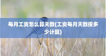 每月工资怎么算天数(工资每月天数按多少计算)