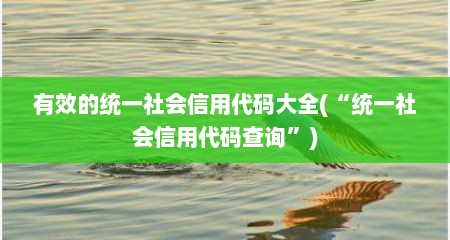 有效的统一社会信用代码大全(“统一社会信用代码查询”)