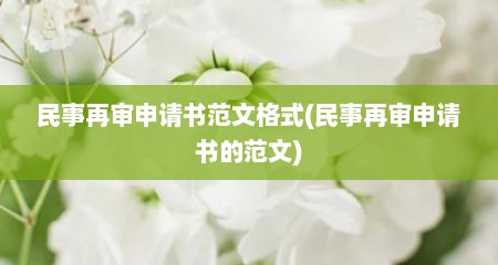 民事再审申请书范文格式(民事再审申请书的范文)