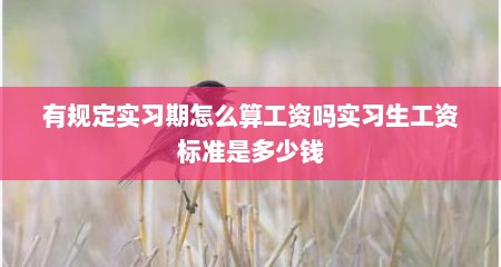 有规定实习期怎么算工资吗实习生工资标准是多少钱